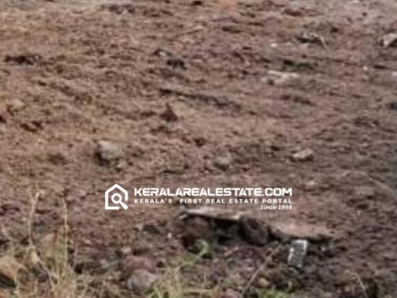 RESIDENTIAL HOUSE PLOT FOR SALE IN EROOR NEAR VYTTILA, ERNAKULAM