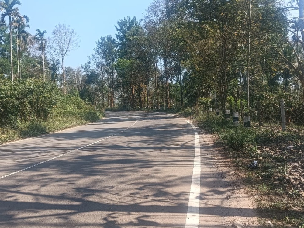 Coffee Estate for Sale in Varadoor, Wayanad 