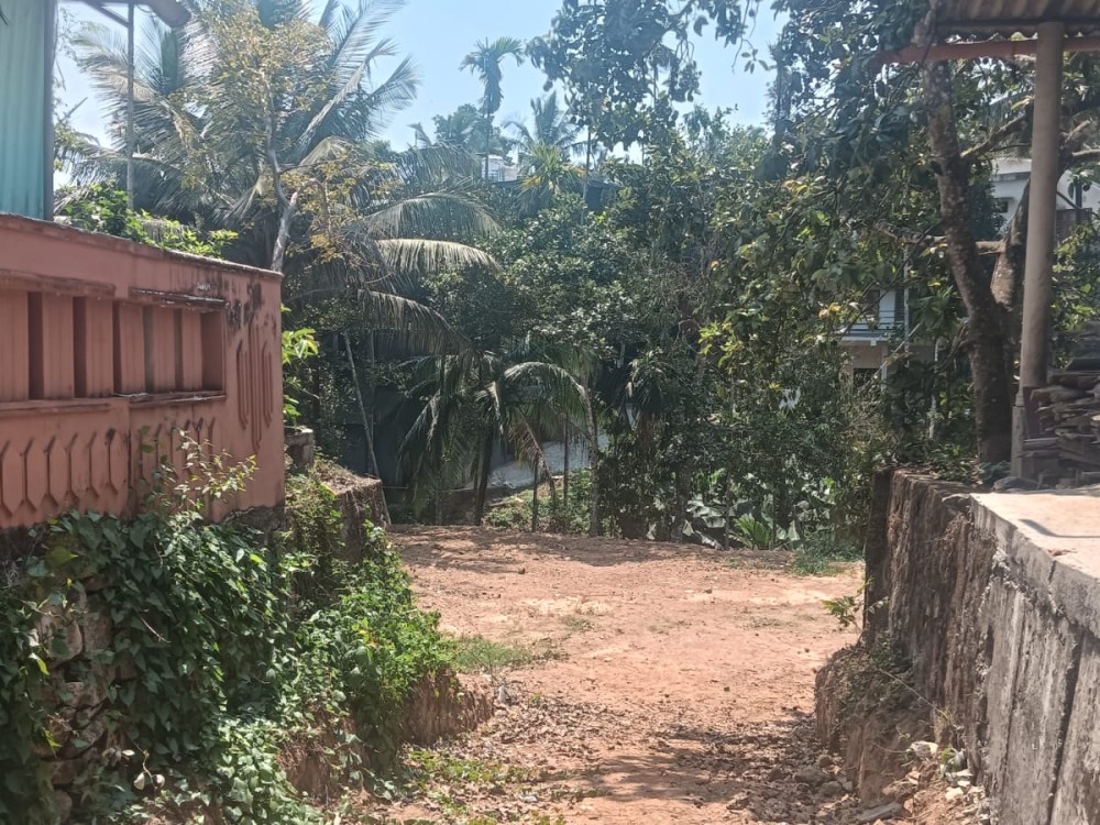 Plot for Sale Near SH, Kambalakkad, Wayanad 