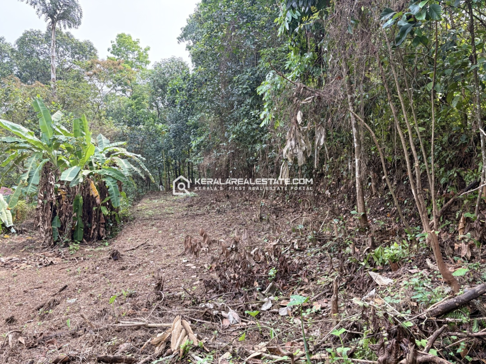 Highway Frontage Land for Sale in Chirakkadavu, Ponkunnam- Manimala Road, Kottayam 