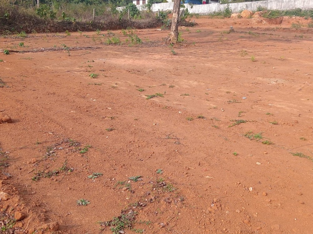 Land for Sale in Vythiri, Wayanad 