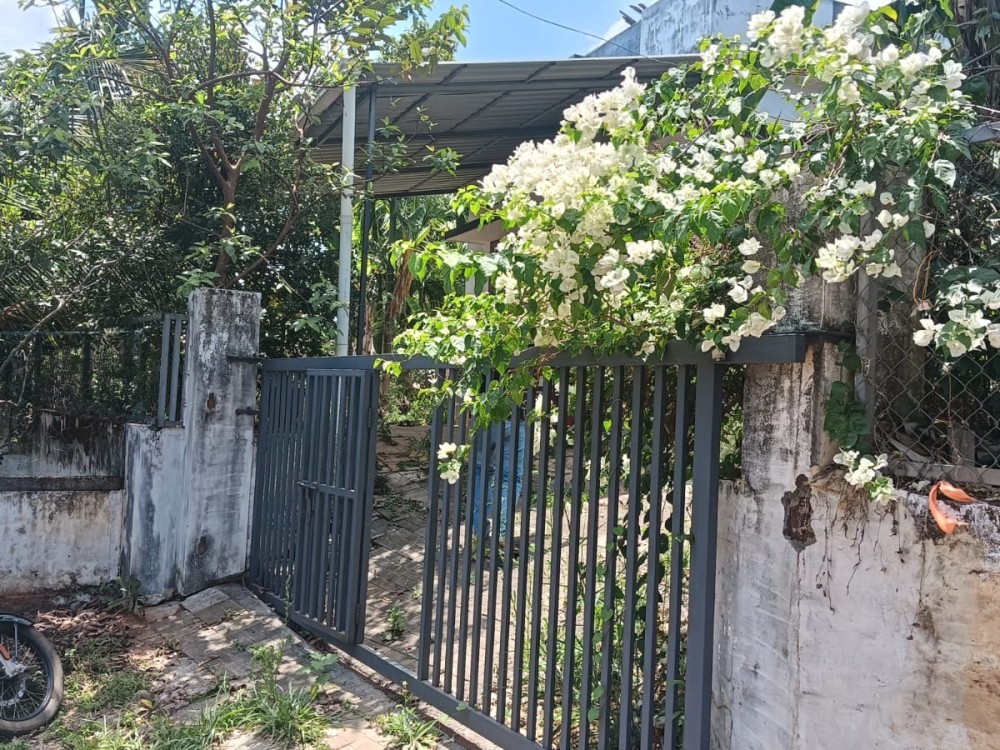 House in 10 Cents for Sale in Paralikunnu, Kamabalakkad, Wayanad