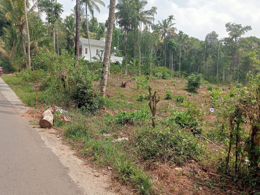 Land for Sale in  Kolagapara, Wayanad